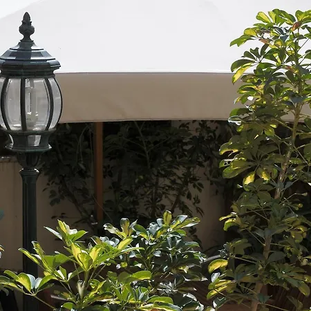 Bed & Breakfast I Fotografi Al Colosseo